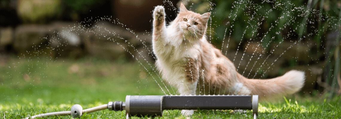 [paste advice page name here]